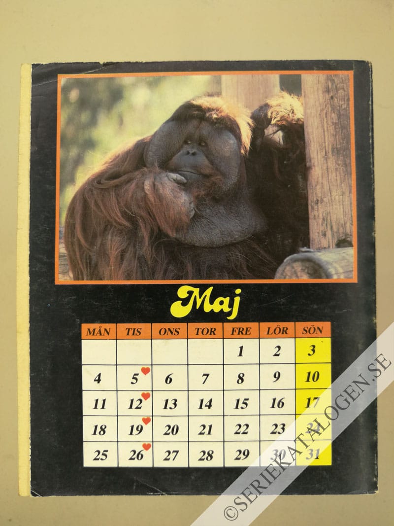 Baksida (1981)