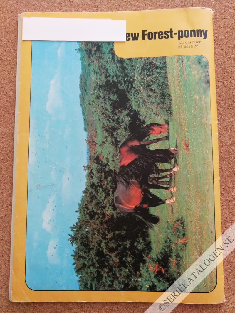 Baksida (1983)