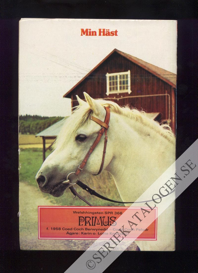 Baksida (1973)