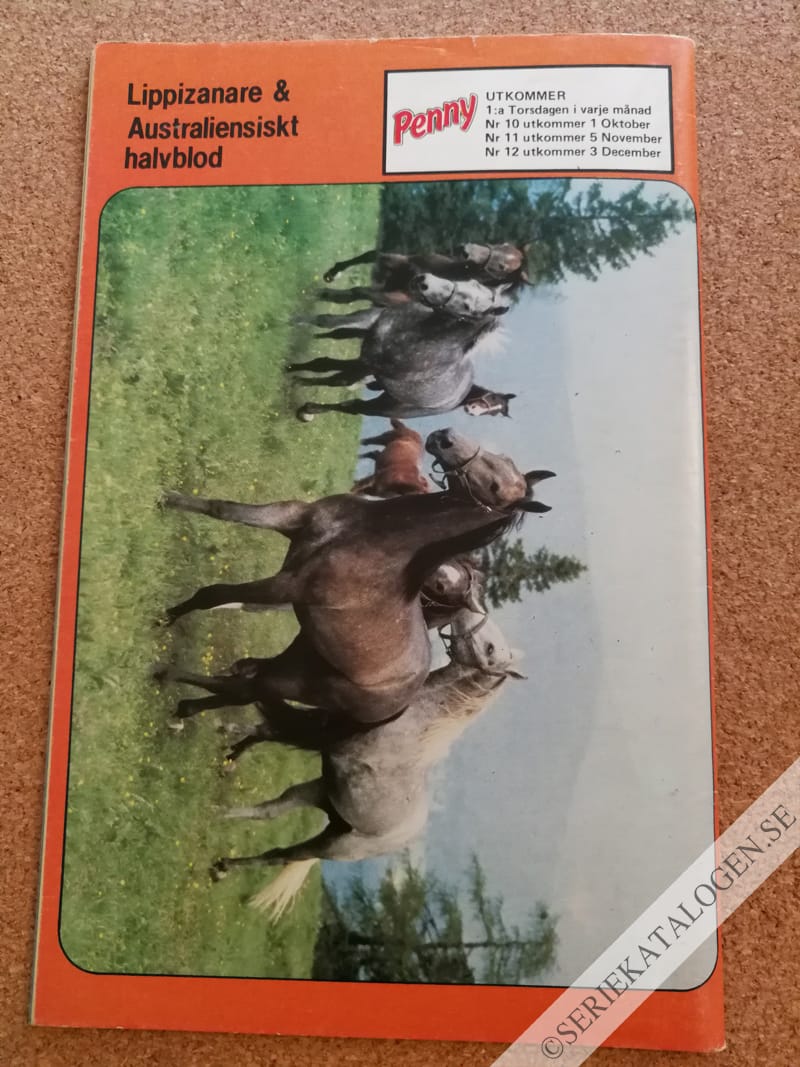Baksida (1987)