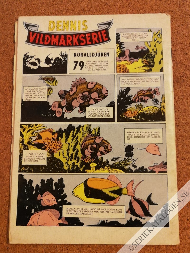 Baksida (1962)