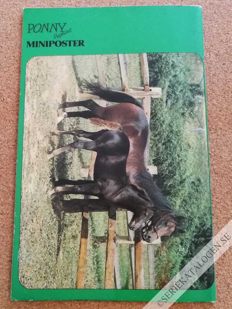 Baksida (1992)