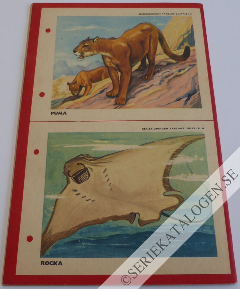 Baksida (1953)