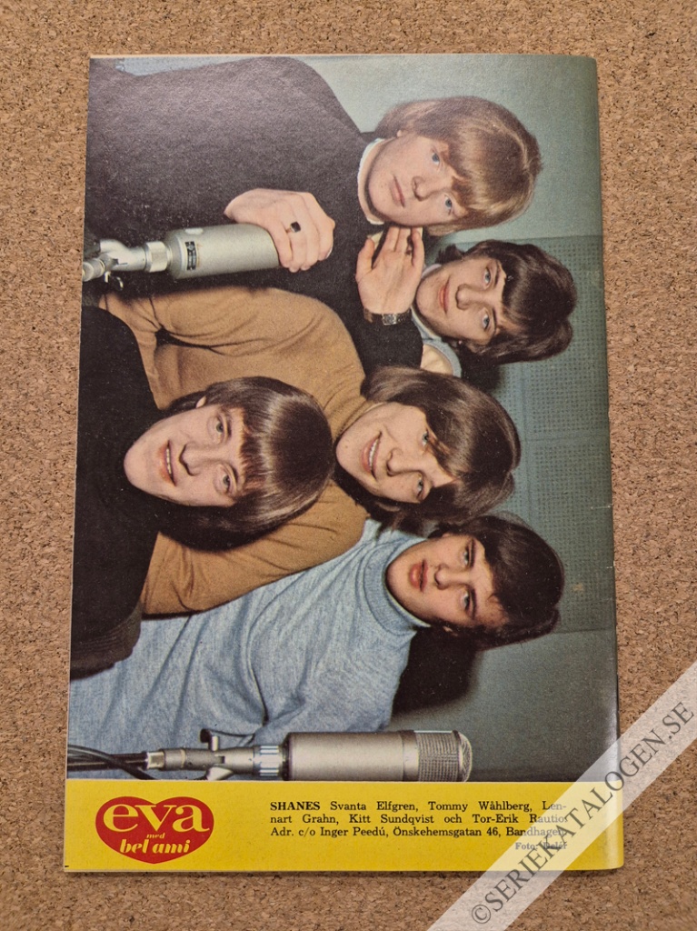 Baksida (1966)