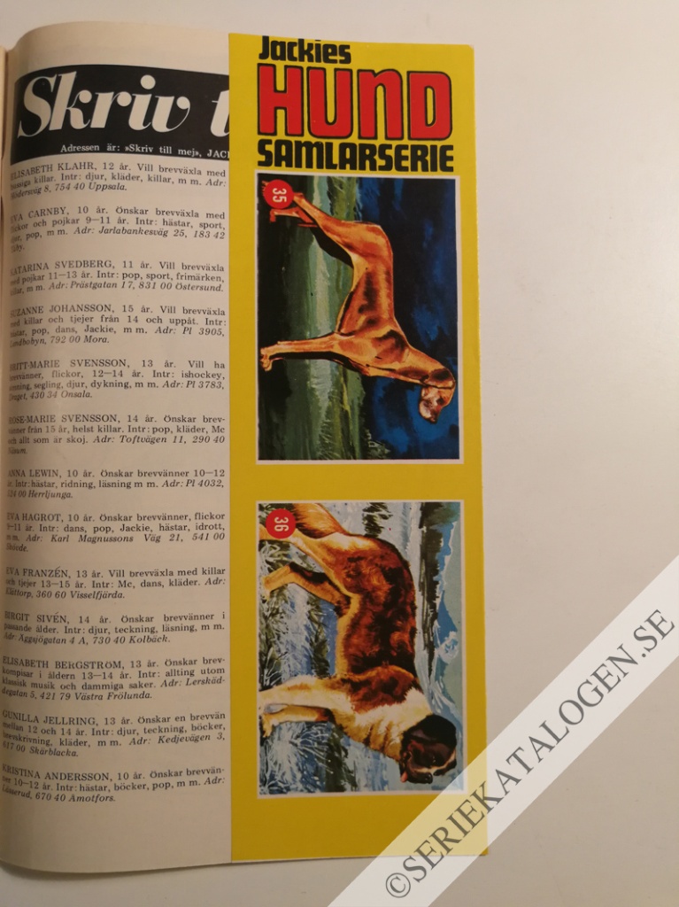 Bild (1972)