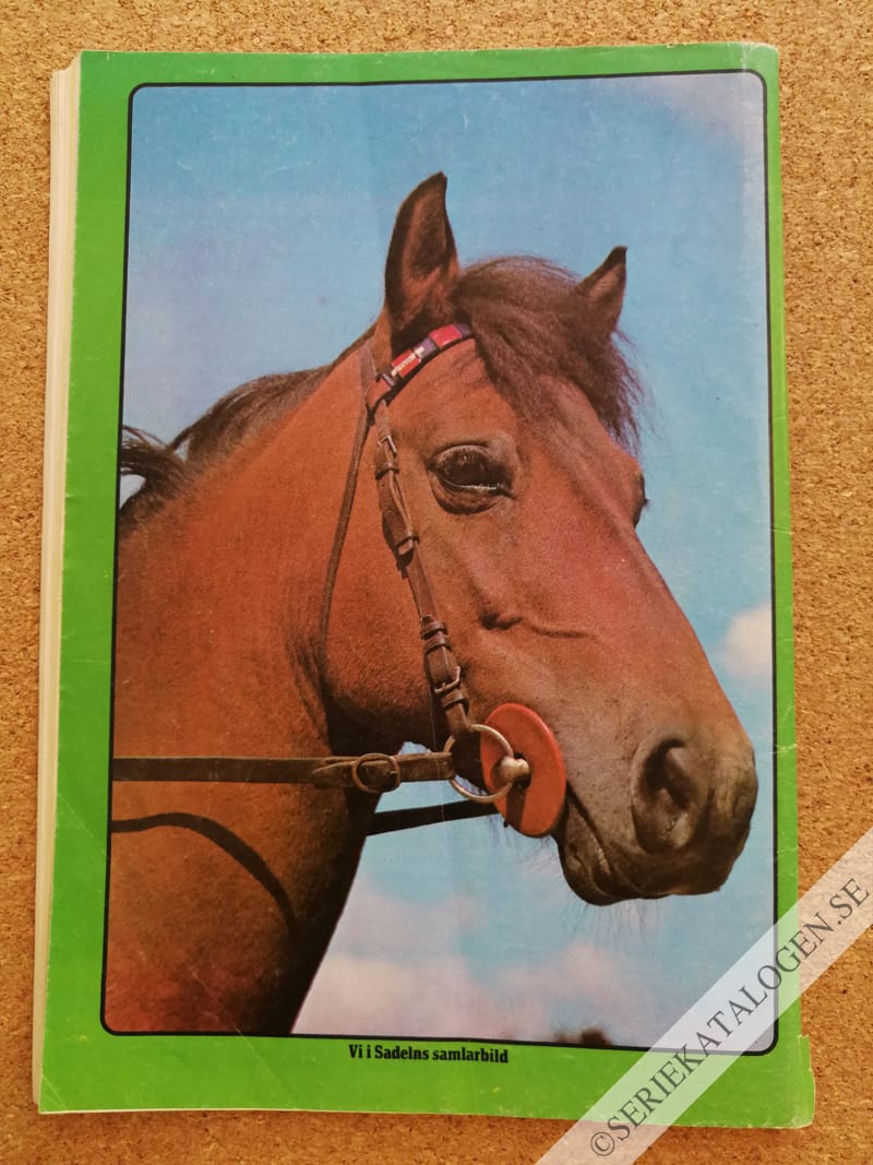 Baksida (1975)