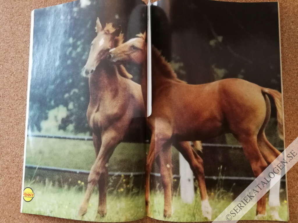 Bild (1989)