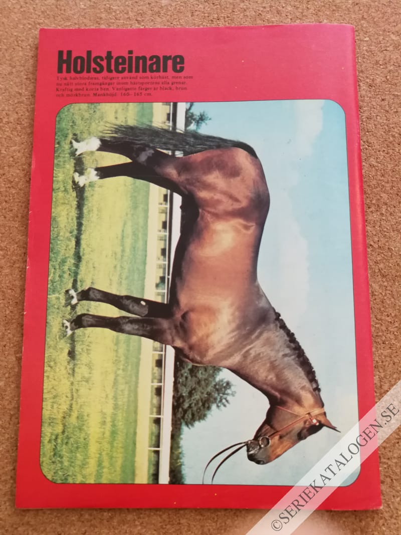 Baksida (1985)