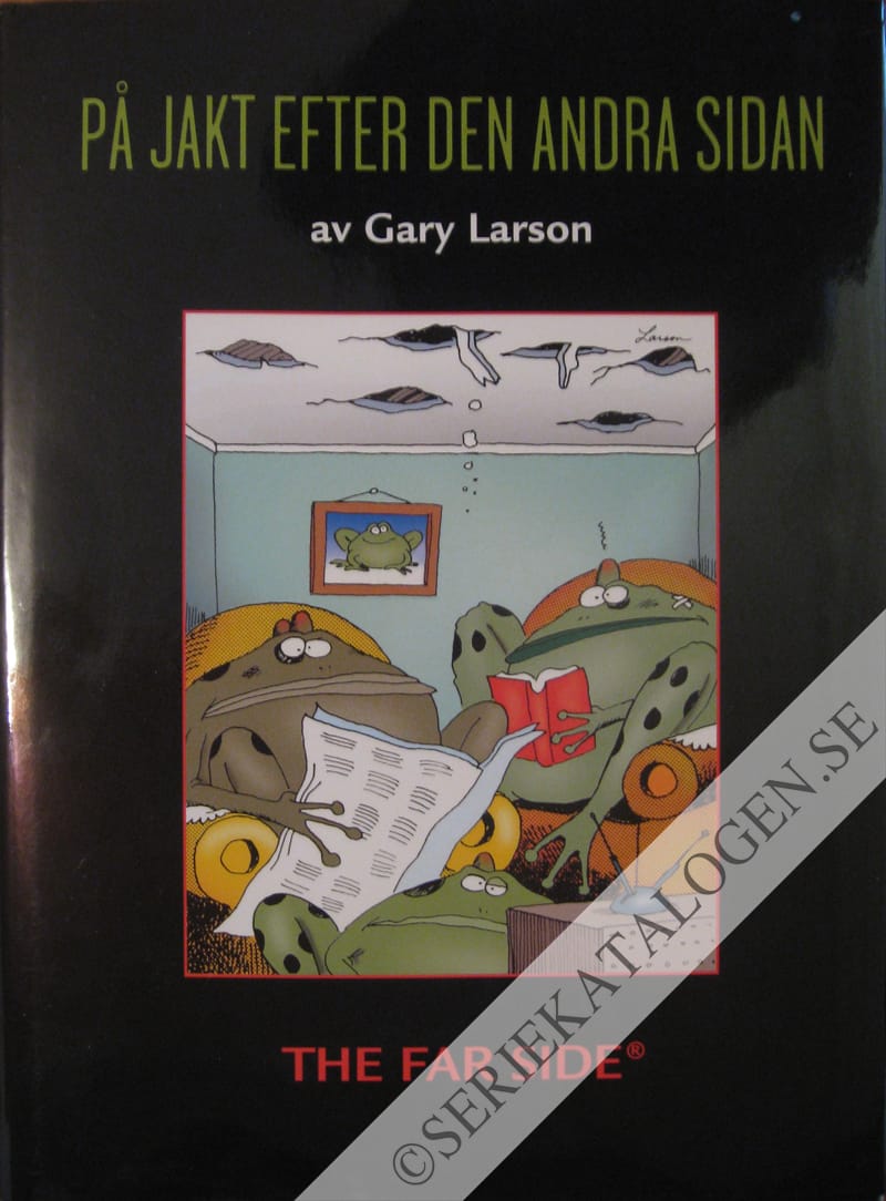 Framsida på Den andra sidan På jakt efter den andra sidan (2003)