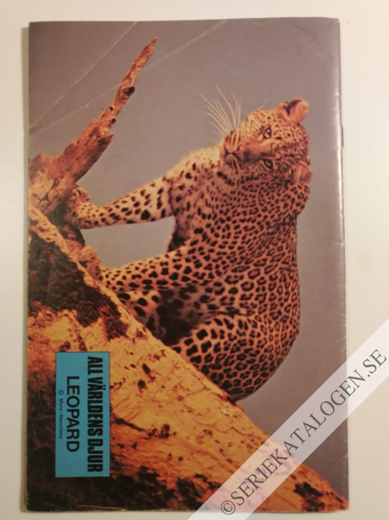 Baksida (1980)