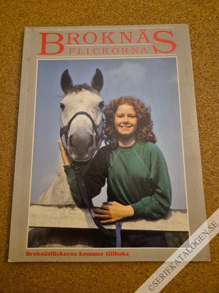 Framsida på Broknäsflickorna Broknäsflickorna kommer tillbaka (1993)