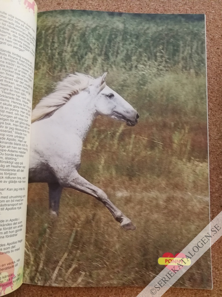 Bild (1993)