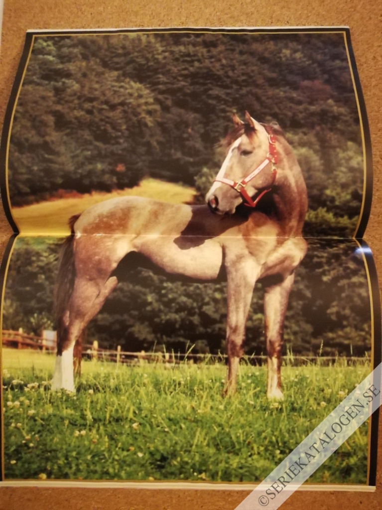 Bild (2000)