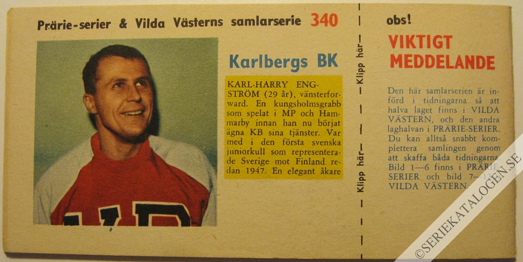 Baksida (1960)