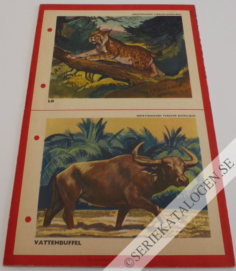 Baksida (1954)