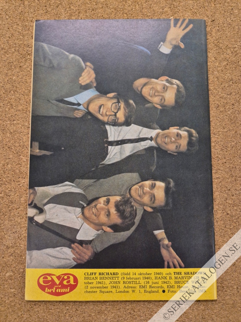 Baksida (1966)