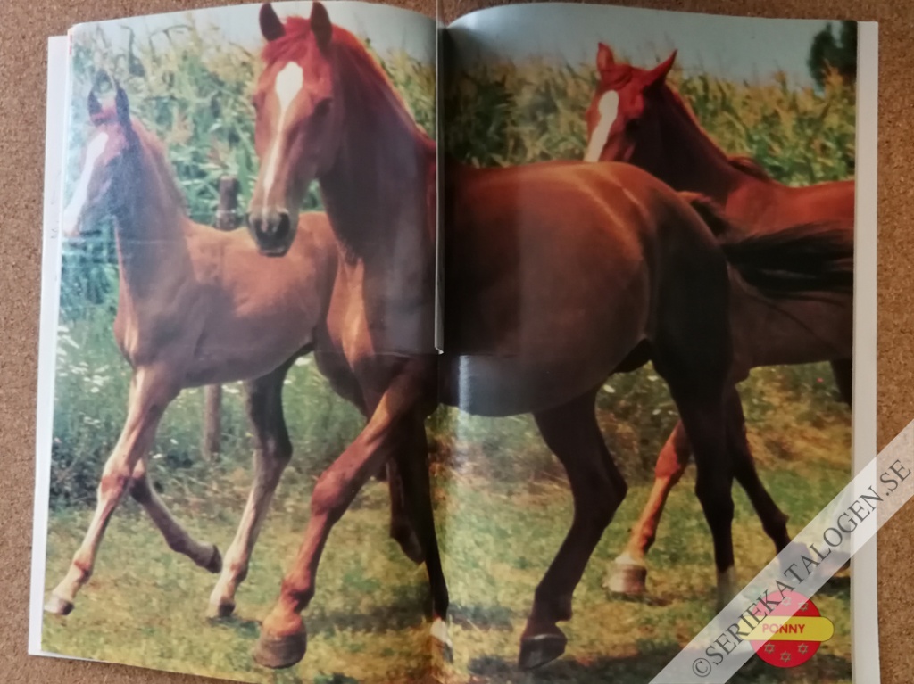 Bild (1992)