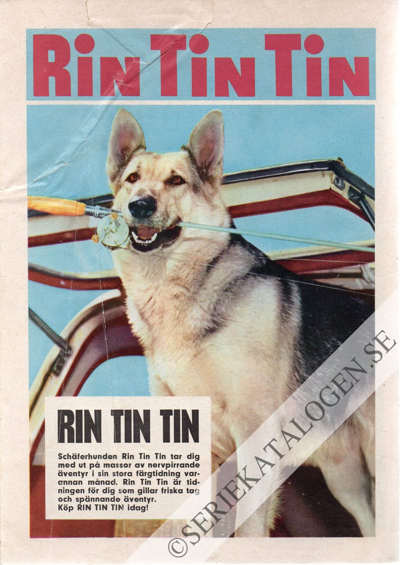 Baksida (1963)