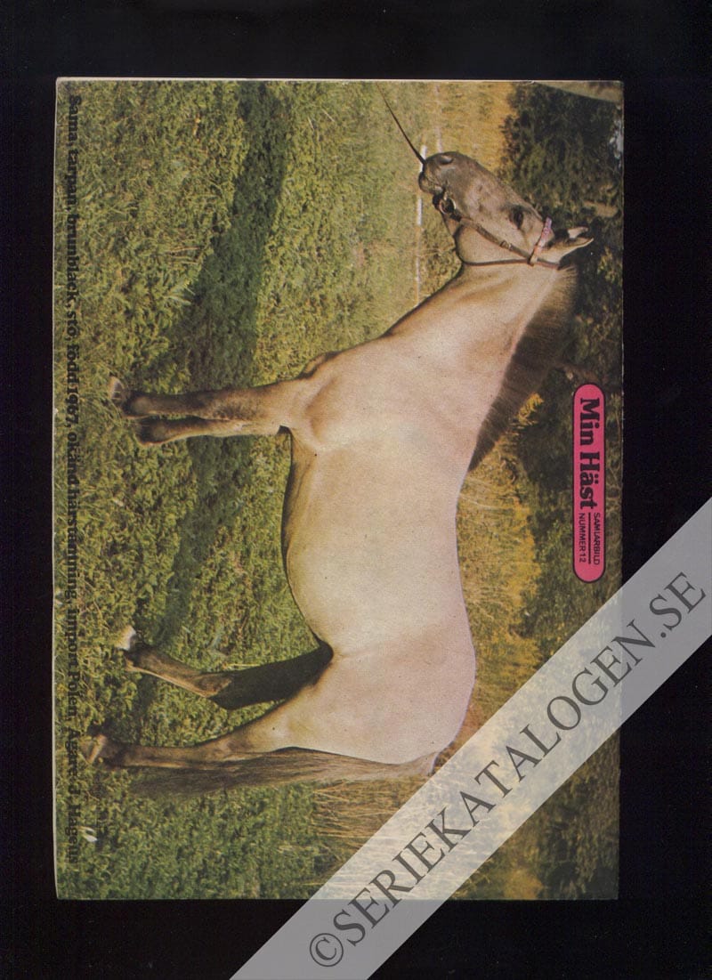 Baksida (1974)