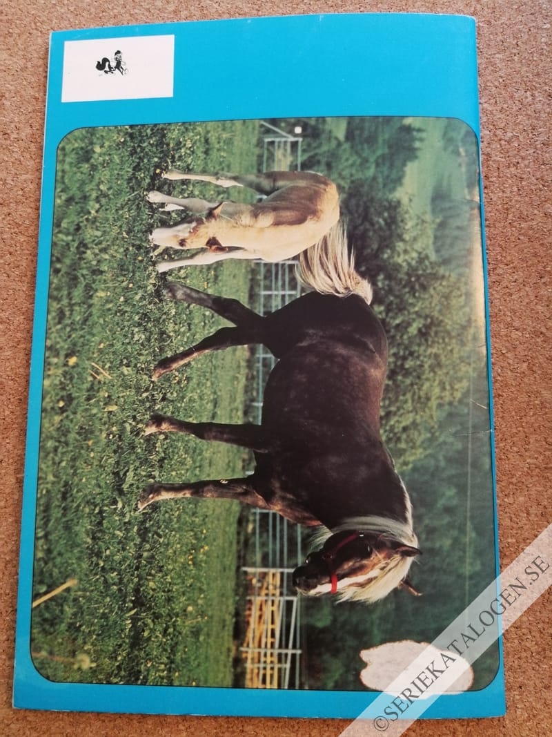 Baksida (1994)