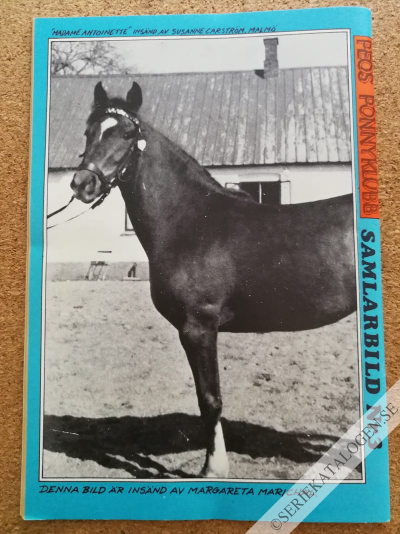 Baksida (1970)