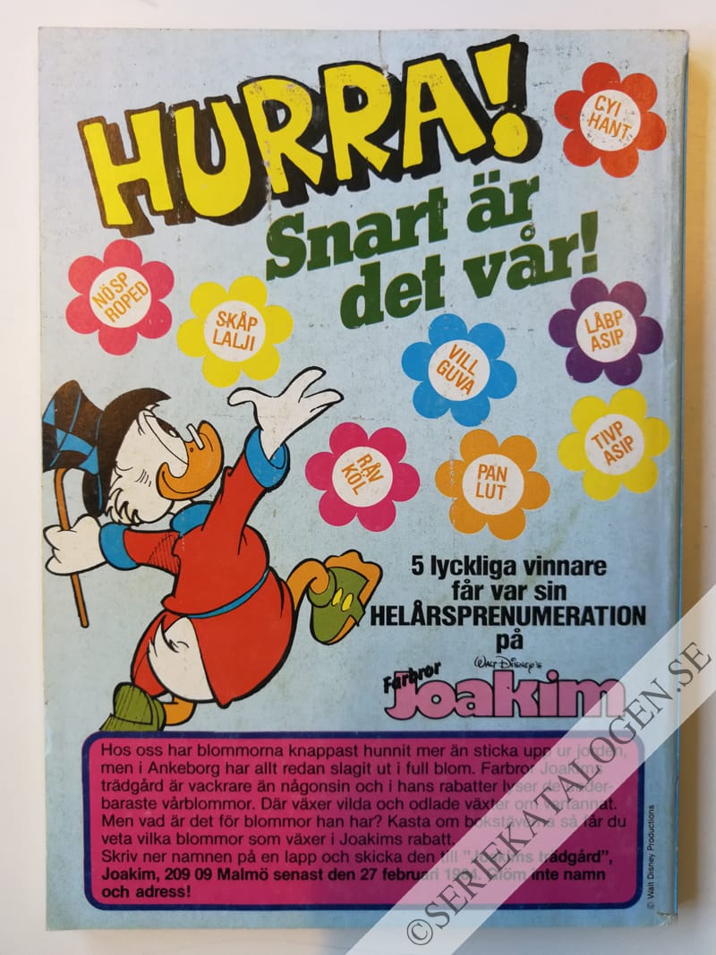 Baksida (1984)
