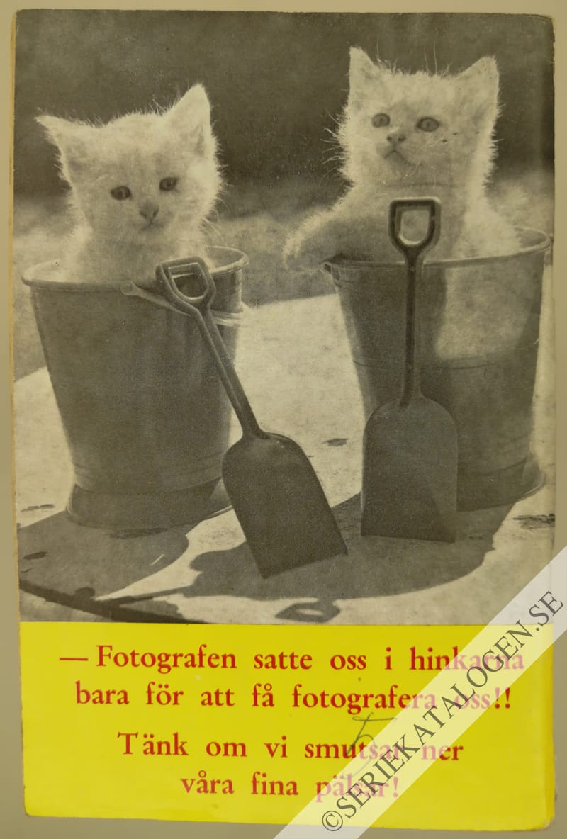 Baksida (1967)