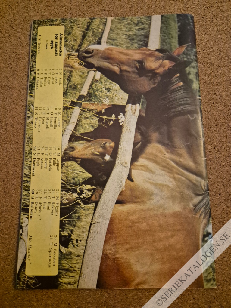 Baksida (1976)