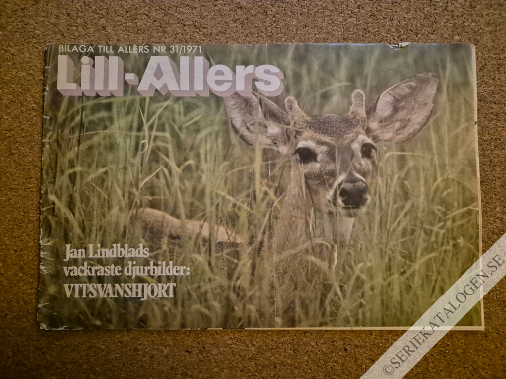 Framsida på Lill-Allers #31 (1971)