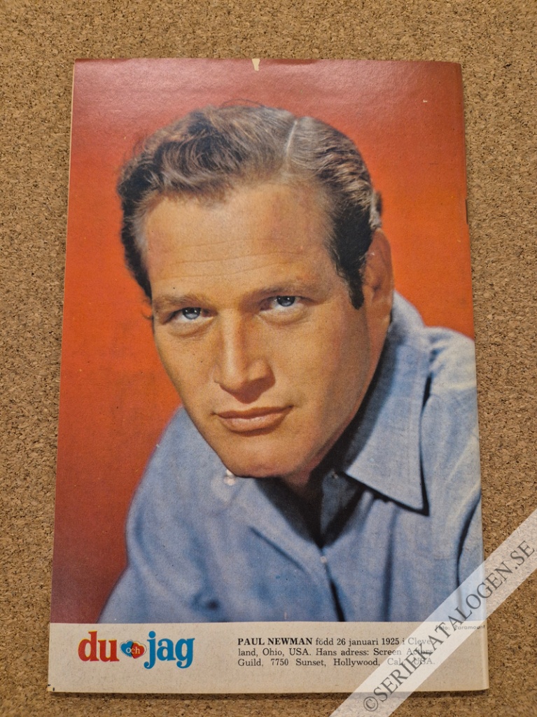 Baksida (1963)