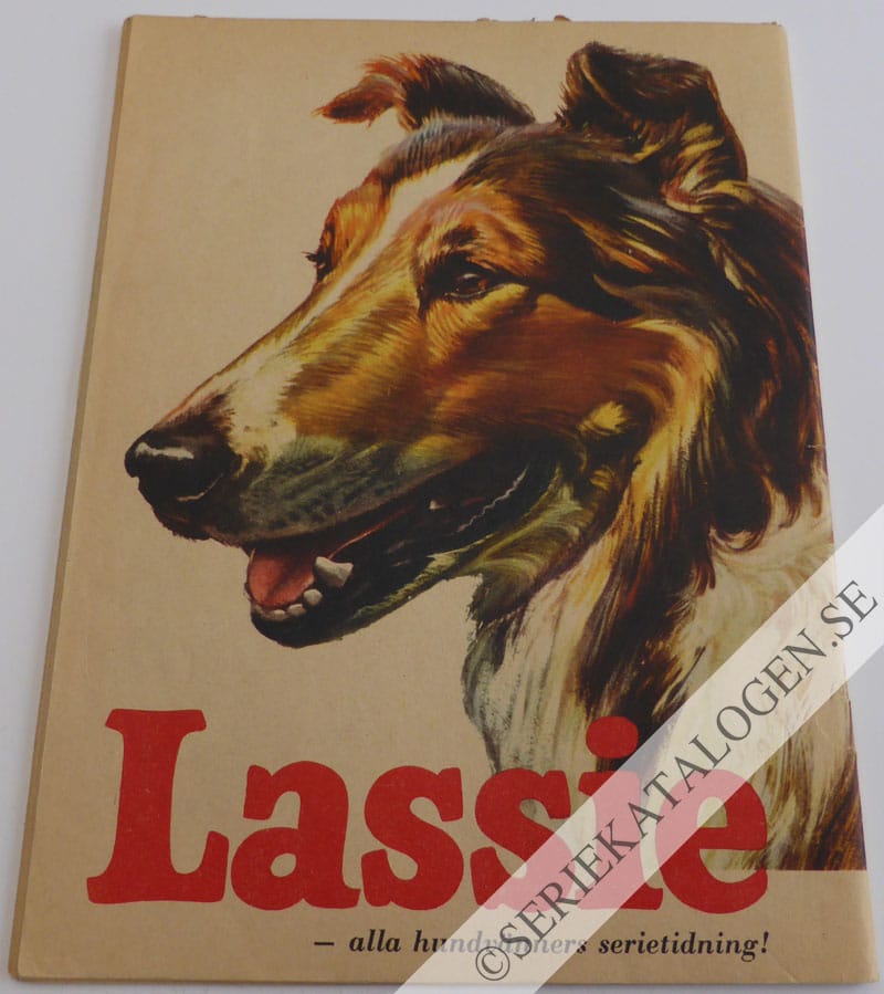 Baksida (1960)