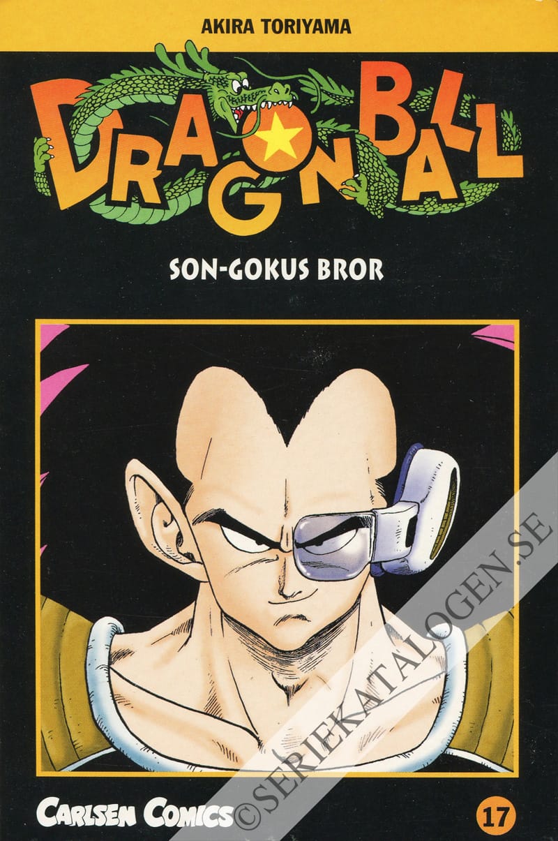 Framsida på Son-Gokus bror (2004)