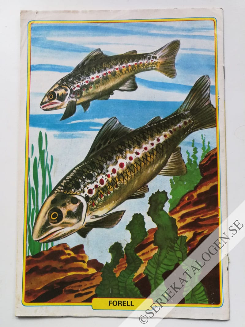 Baksida (1982)
