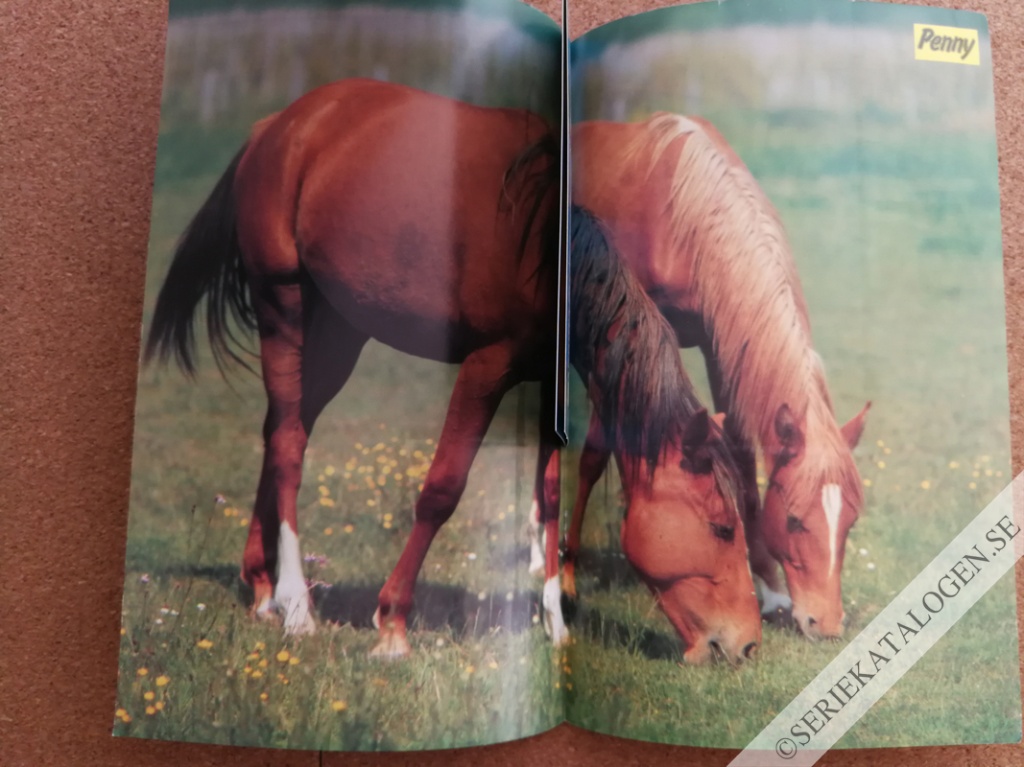 Bild (1991)