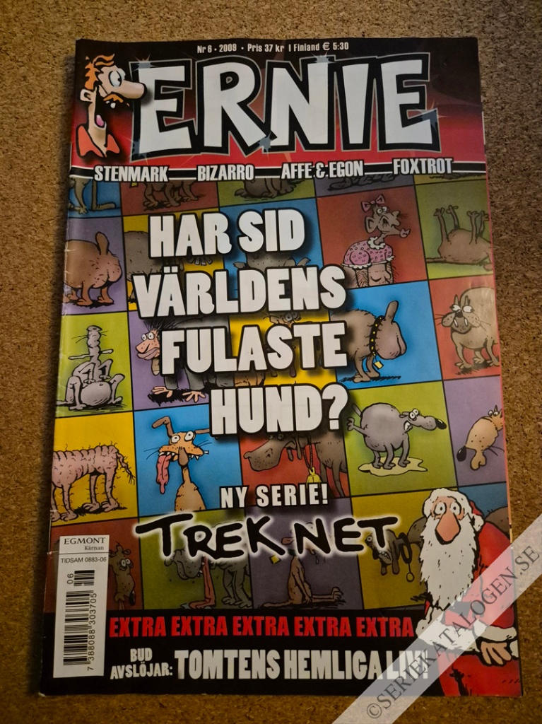 Framsida på Ernie #6 (2009)