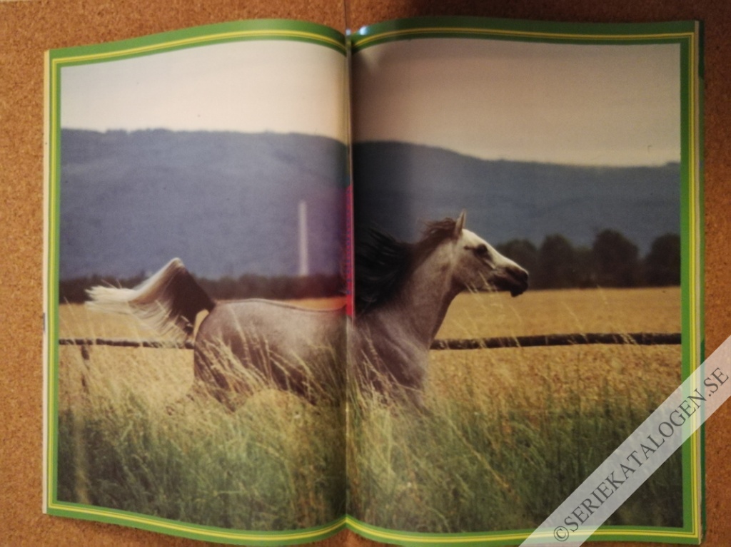 Bild (2000)