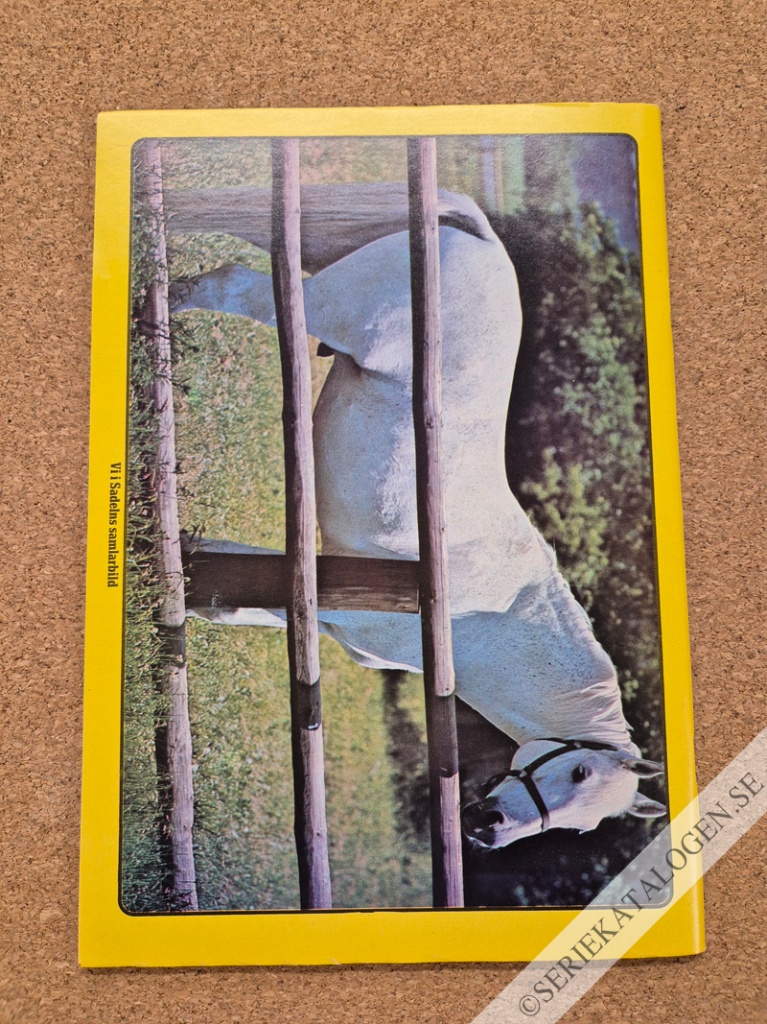 Baksida (1975)