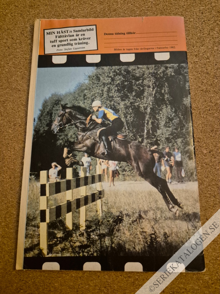 Baksida (1983)