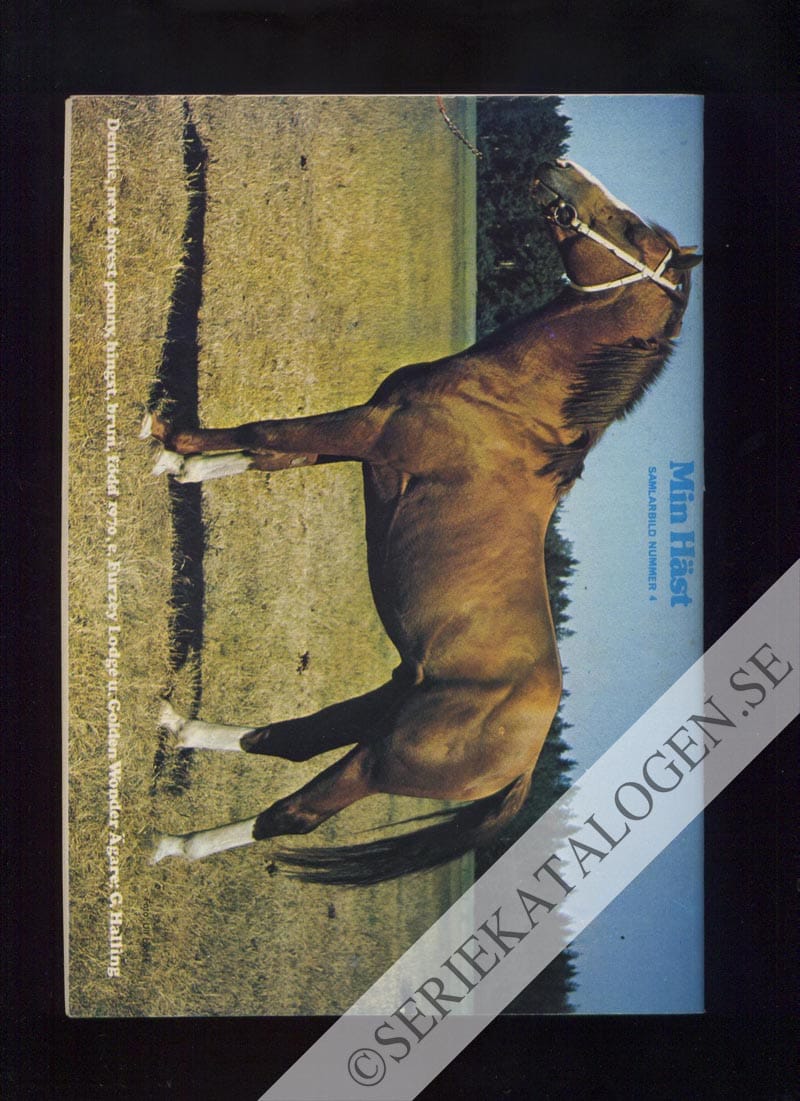 Baksida (1974)