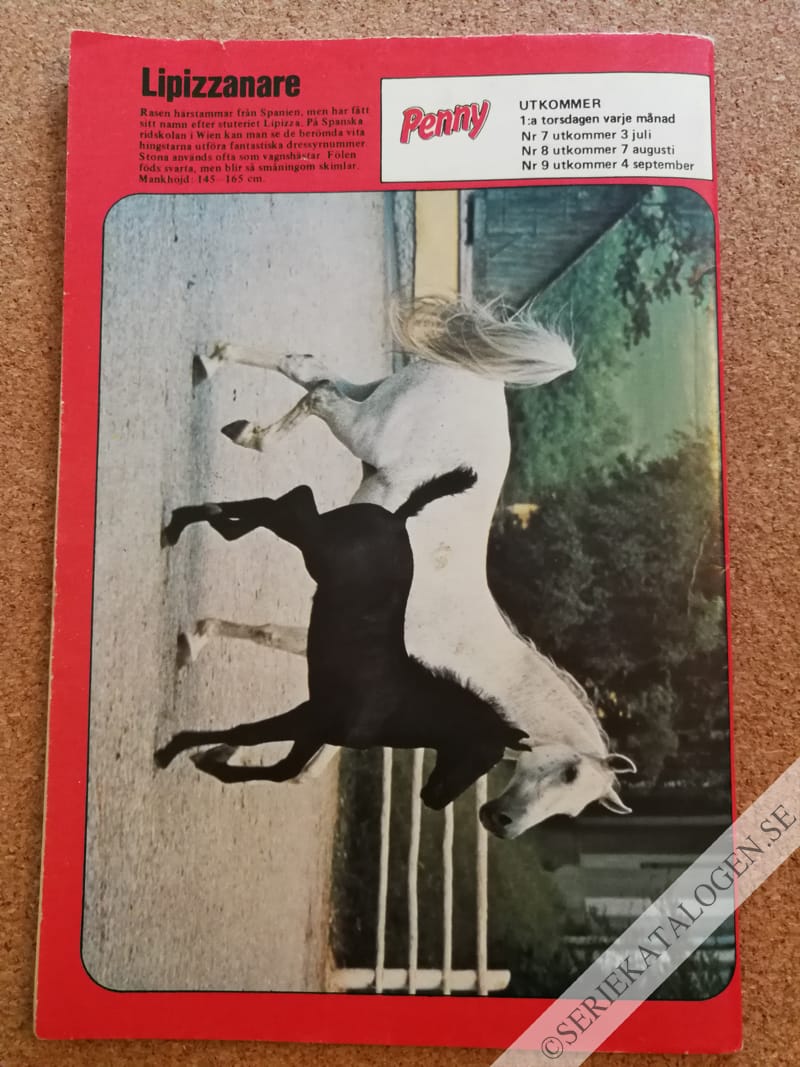 Baksida (1986)