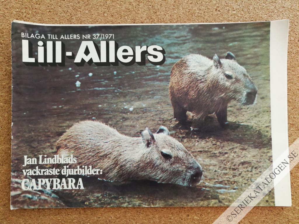 Framsida på Lill-Allers #37 (1971)