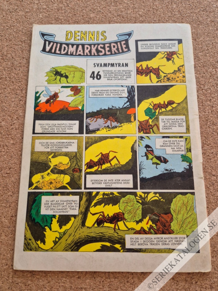 Baksida (1961)