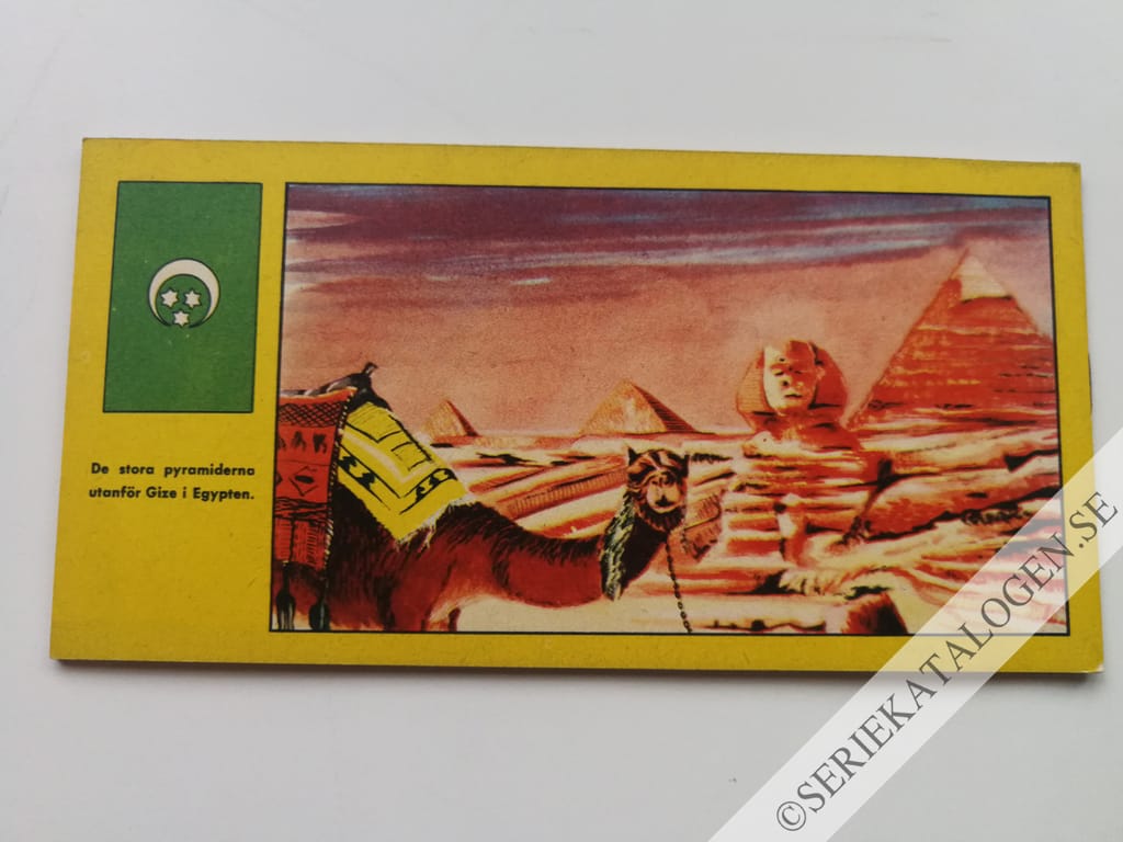 Baksida (1954)