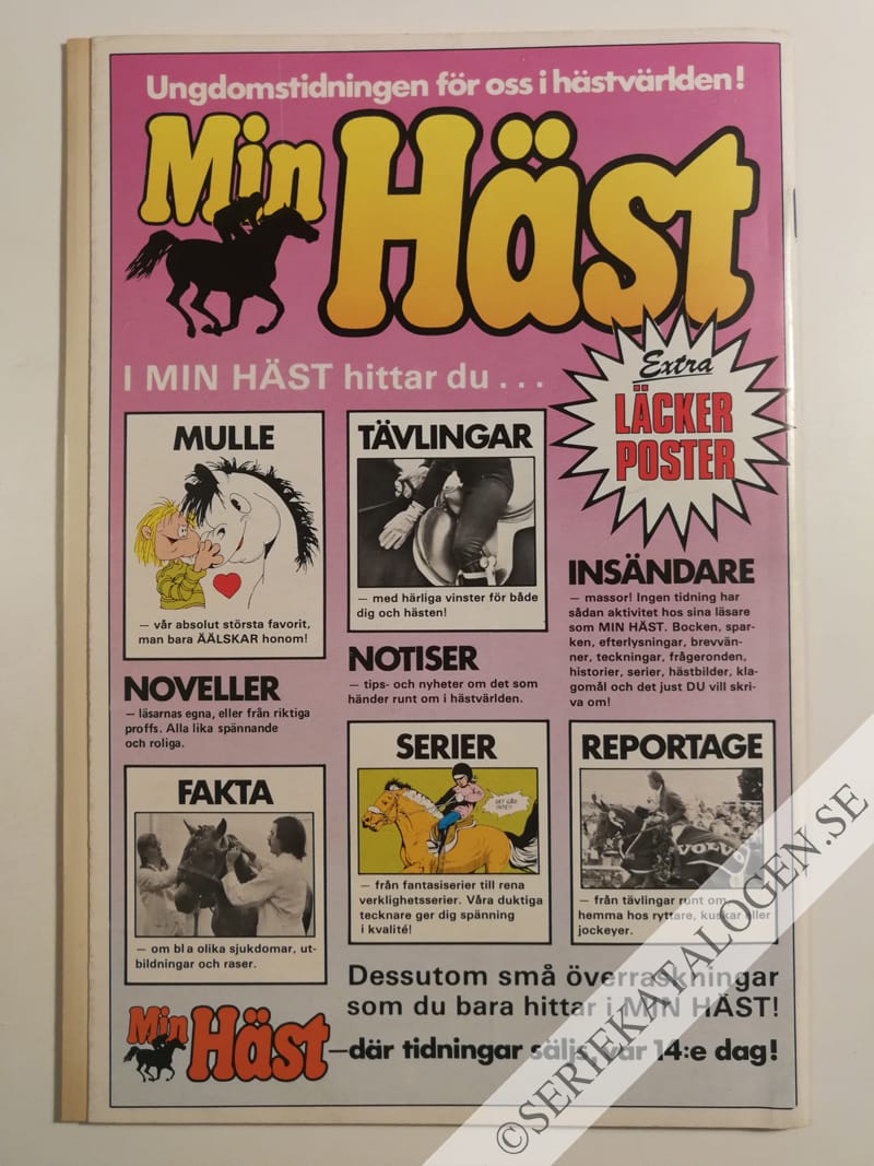 Baksida (1986)
