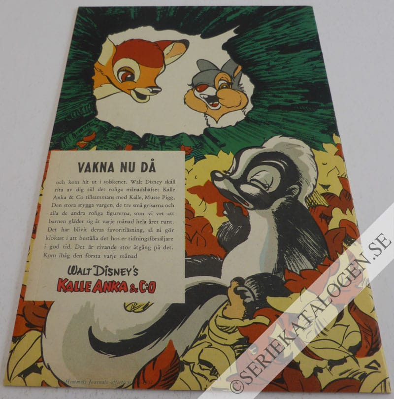 Baksida på Bambi (1952)
