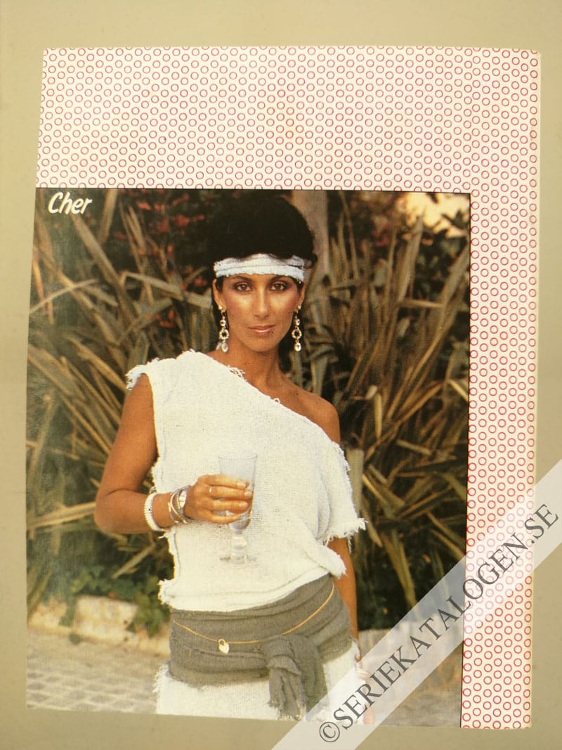 Baksida (1984)