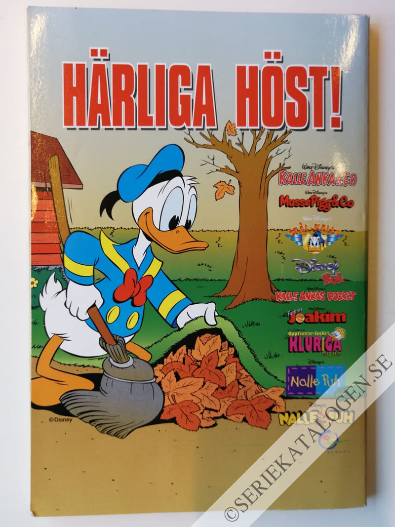 Baksida (1999)