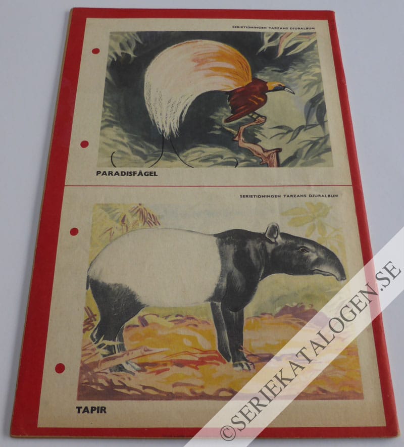 Baksida (1952)