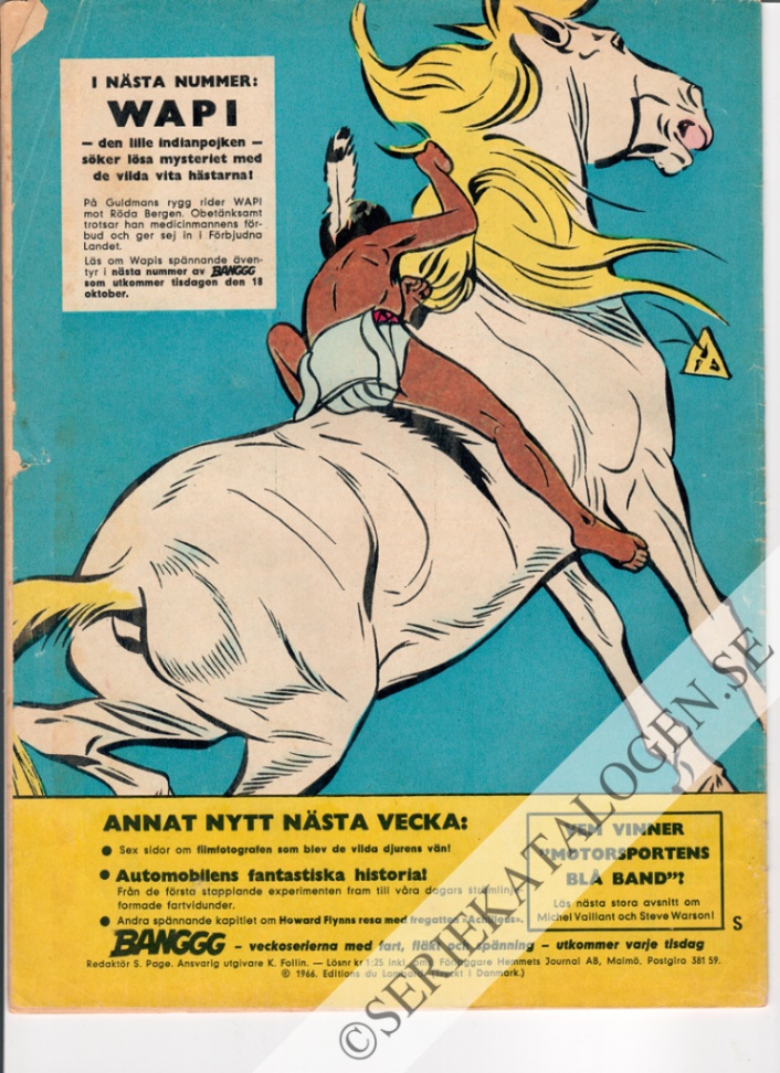 Baksida (1966)