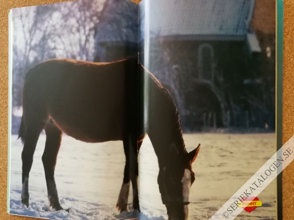 Bild (1995)